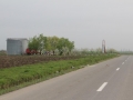 IMG_9077-Copy
