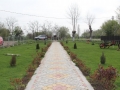 IMG_9114-Copy