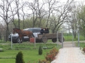 IMG_9115-Copy